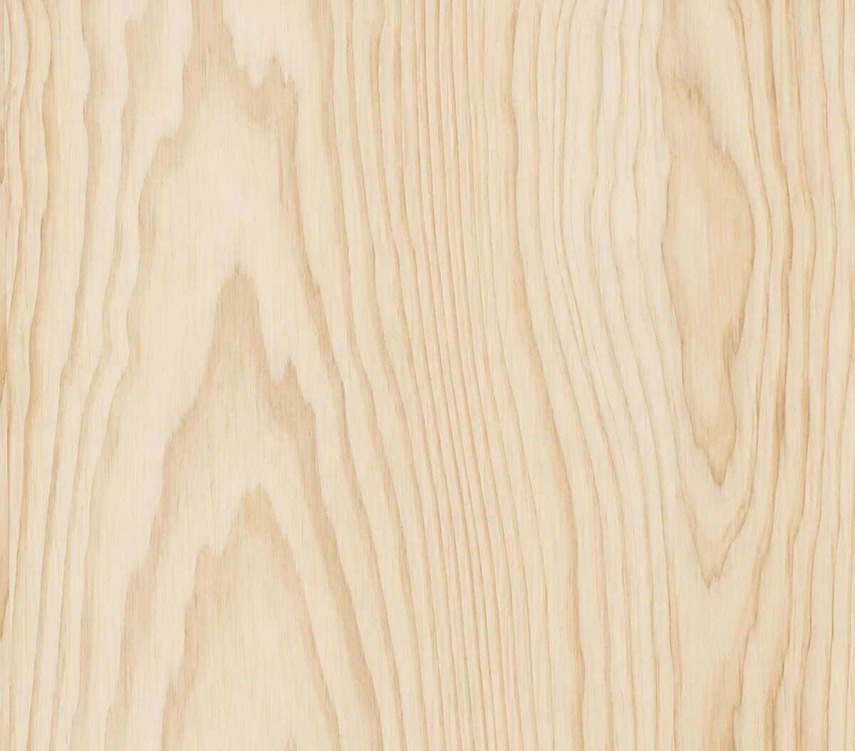 Accoya Wood Sample