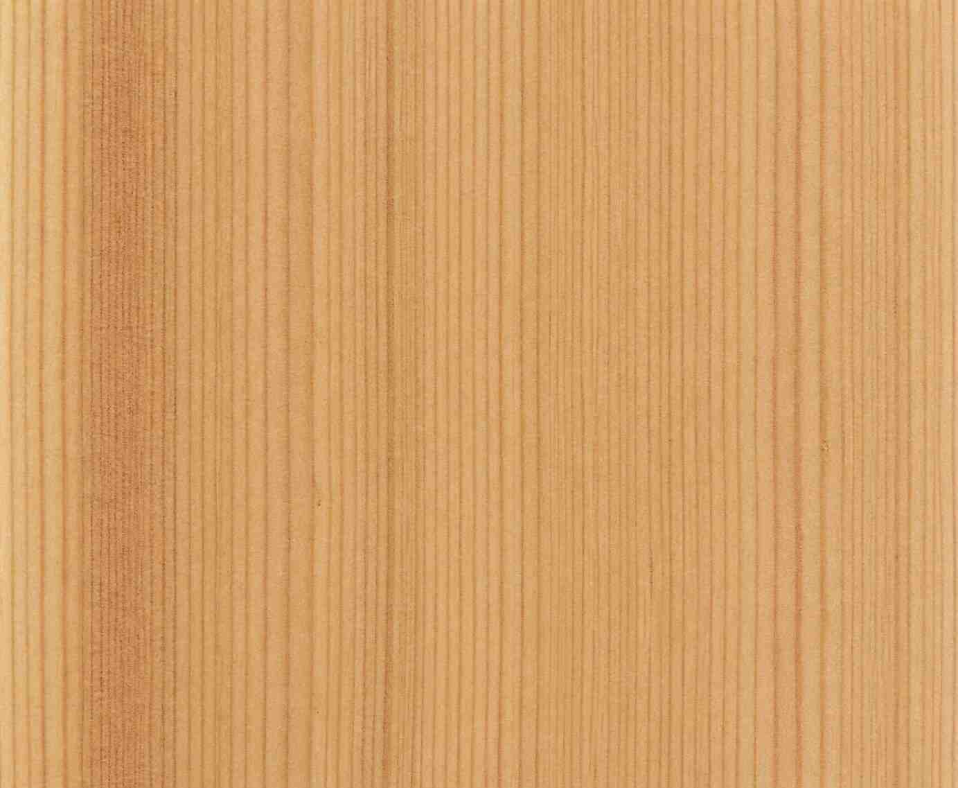 Larch Wood Sample