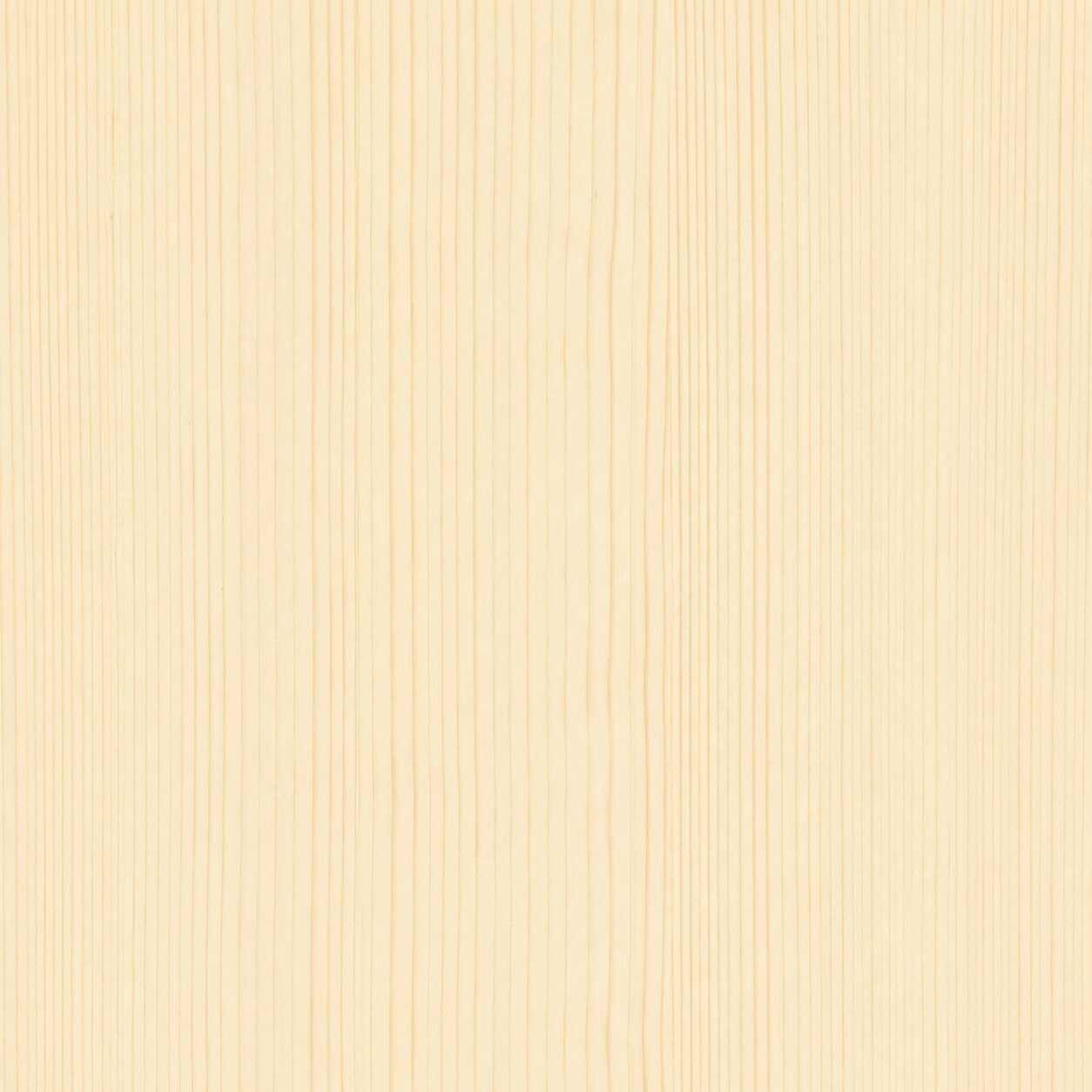 Spruce Wood Sample