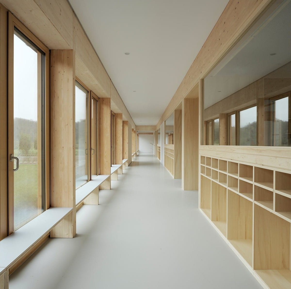 Bespoke timber windows lining a light-filled contemporary interior
